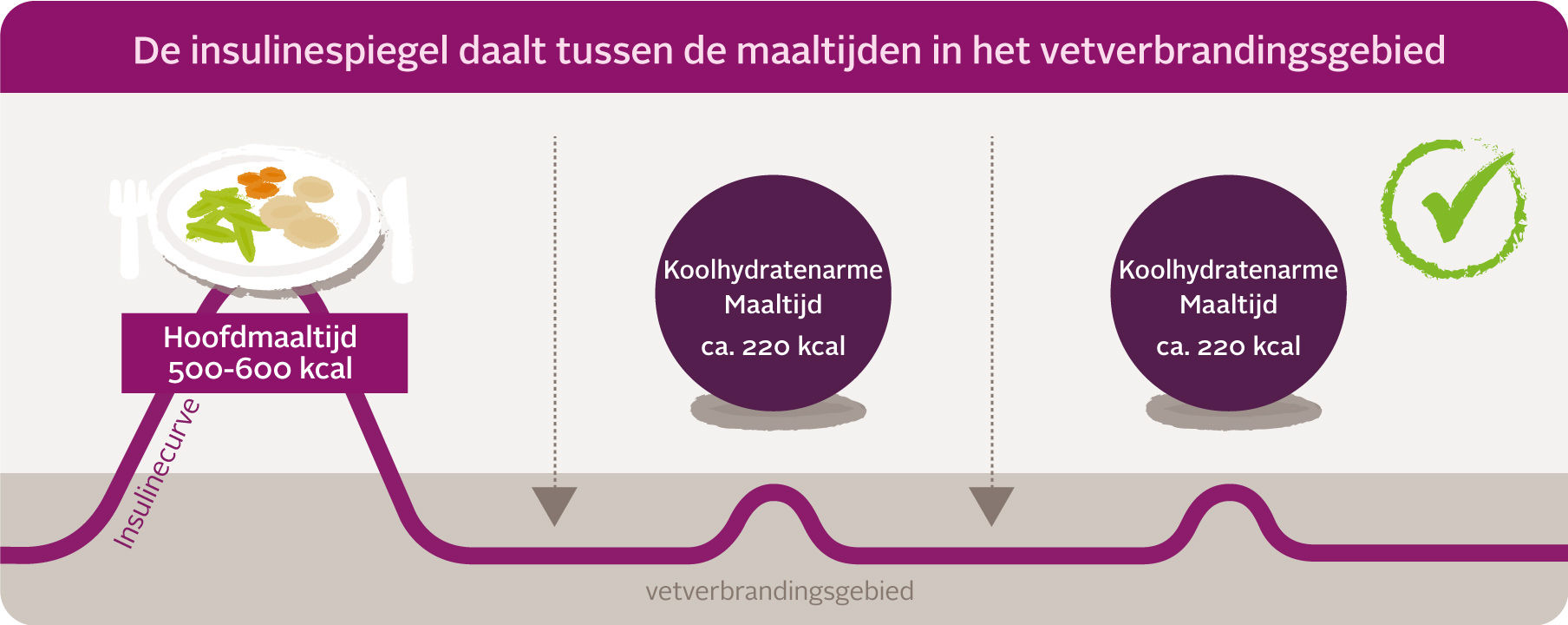 Insulinkurve gruen-desktop Runde-Ecken x NL -